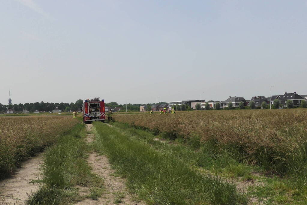 Boer spot brand in weiland