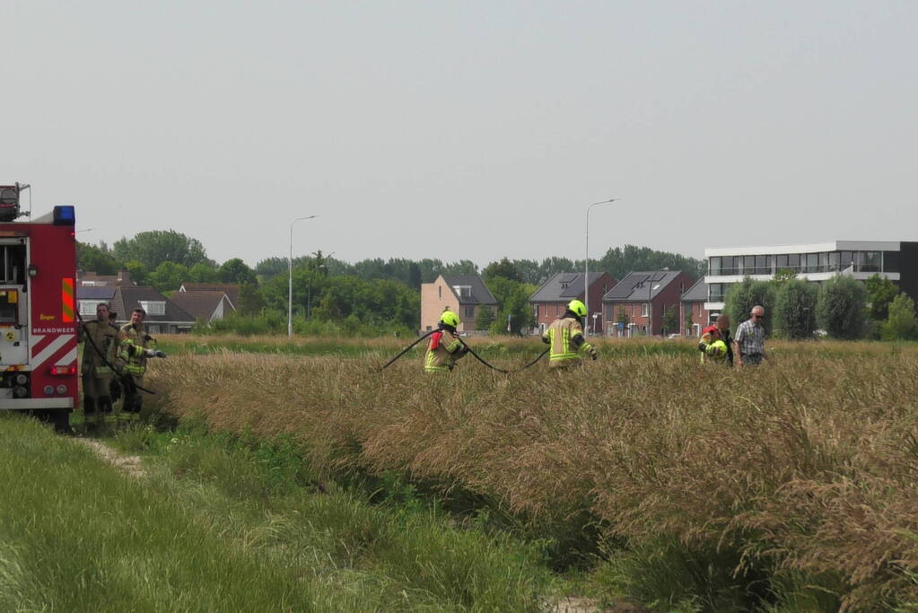 Boer spot brand in weiland