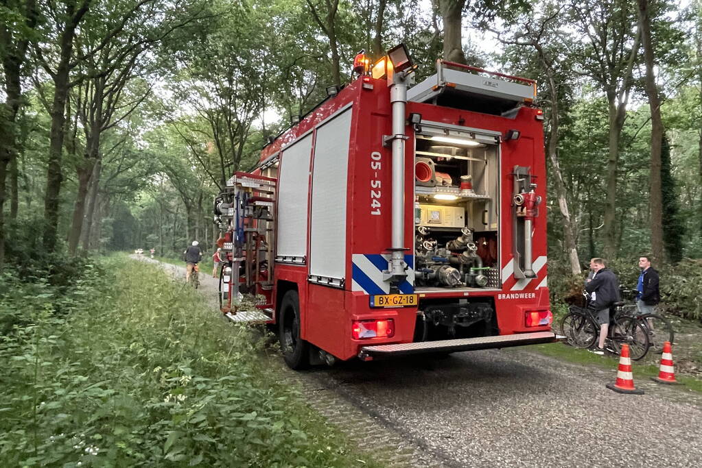 Brand in bosschage