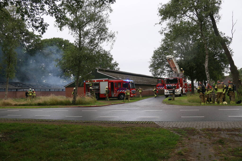 Schuur met pluimvee verwoest vanwege brand