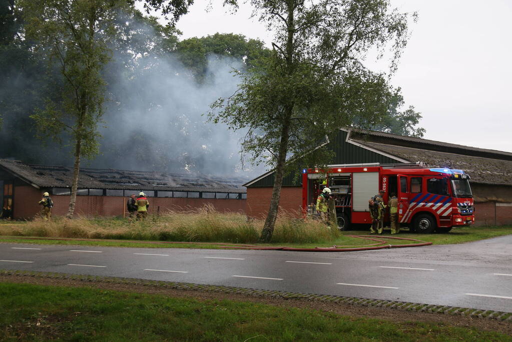 Schuur met pluimvee verwoest vanwege brand