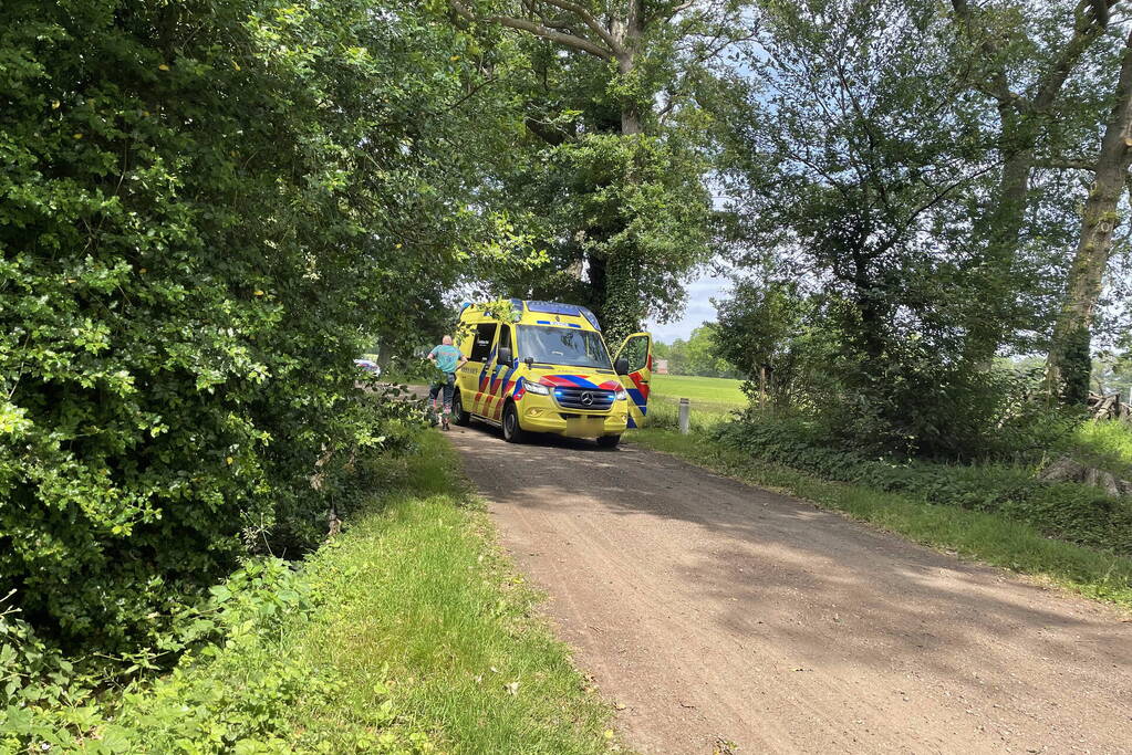 Gewonde nadat quad tegen boom rijdt