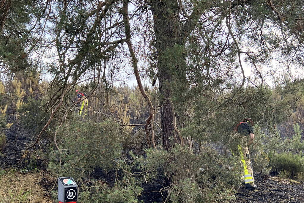 Brandweer blust brand op Brunssummerheide