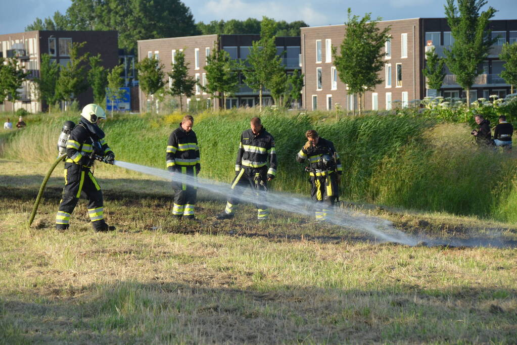 Gemaaid gras vat vlam