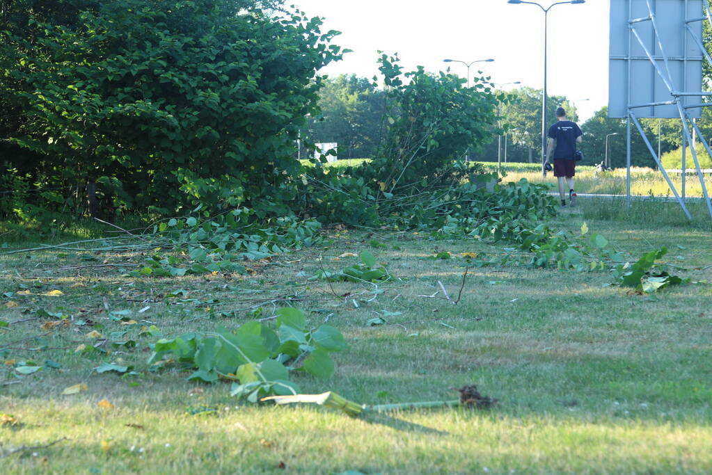 Automobilist raakt van de weg botst tegen tuinhuis