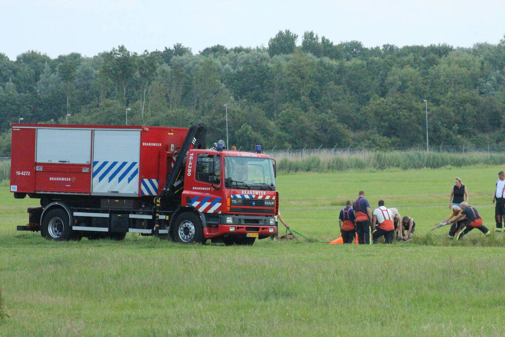 Grote reddingsactie voor paard te water