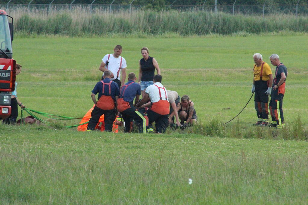 Grote reddingsactie voor paard te water