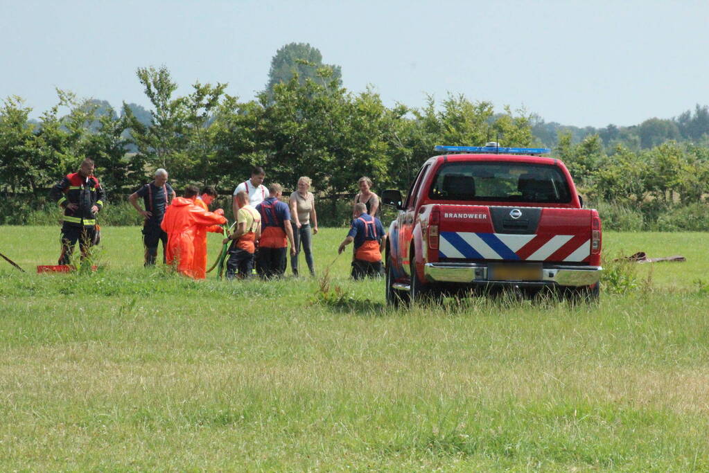 Grote reddingsactie voor paard te water