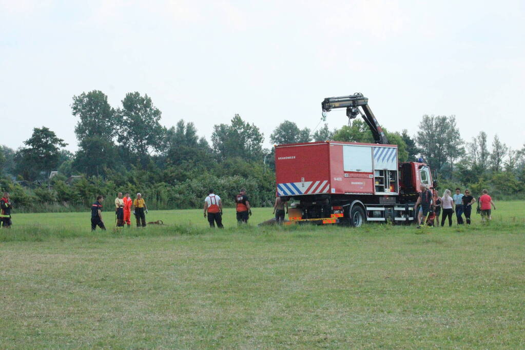 Grote reddingsactie voor paard te water