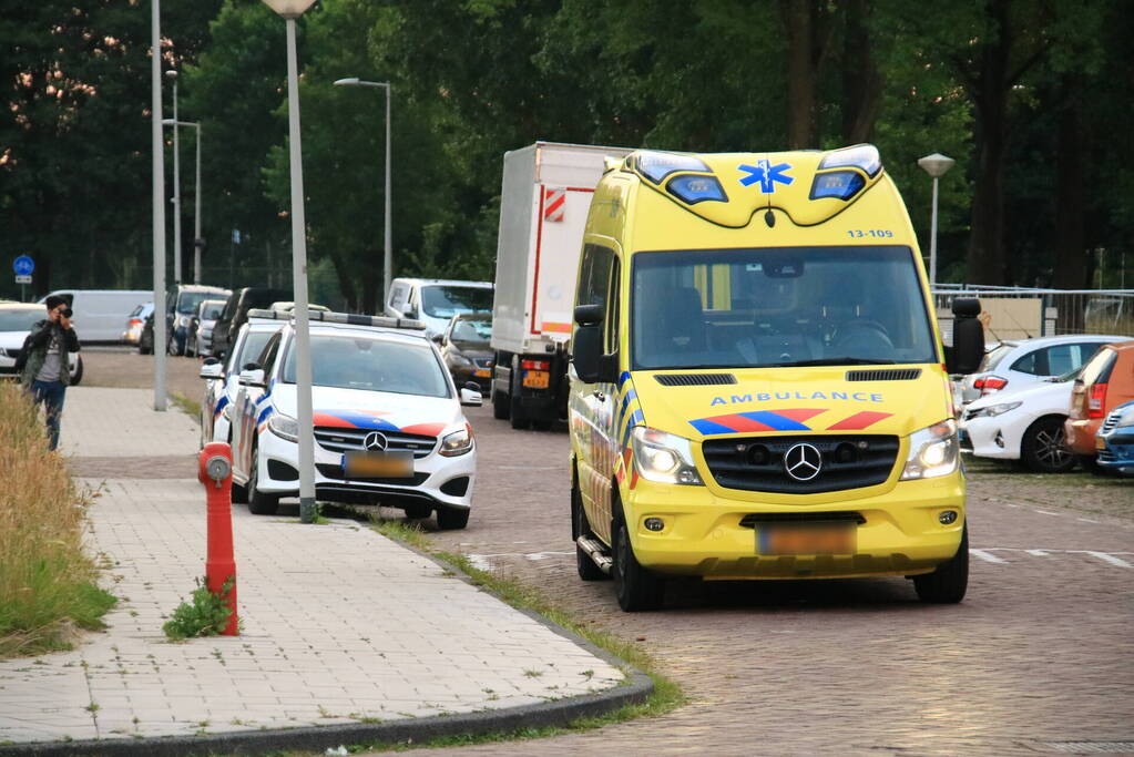 Steekpartij met aardappelschilmes