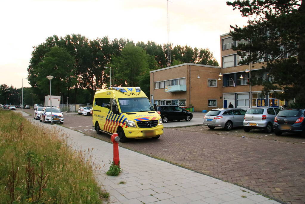 Steekpartij met aardappelschilmes