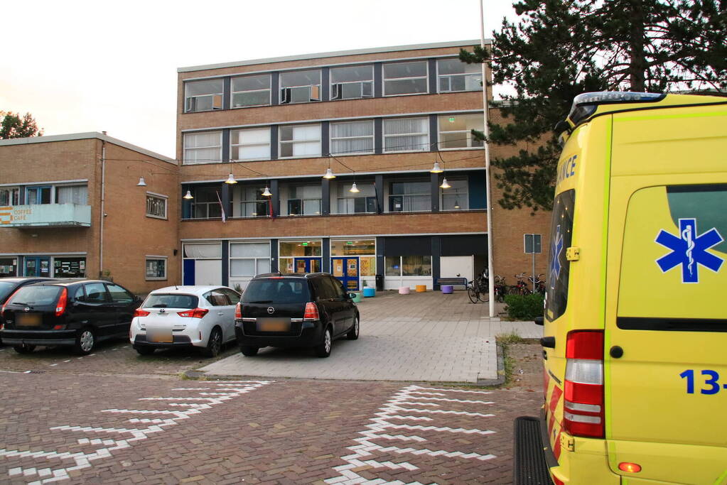 Steekpartij met aardappelschilmes