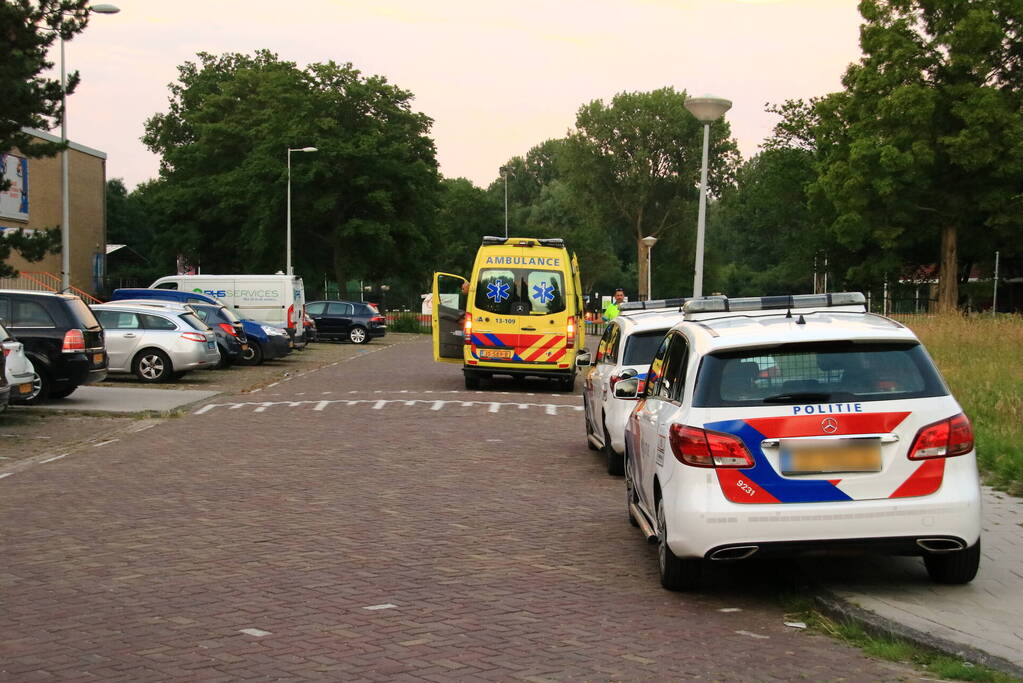 Steekpartij met aardappelschilmes