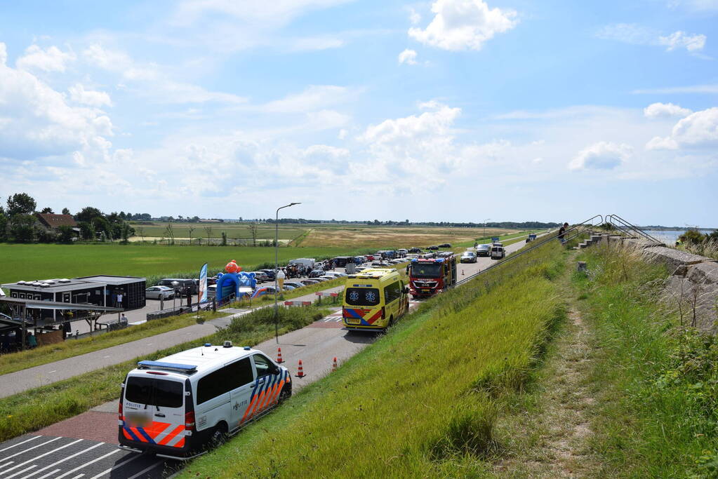 Duiker gereanimeerd na onwelwordig in Grevelingen