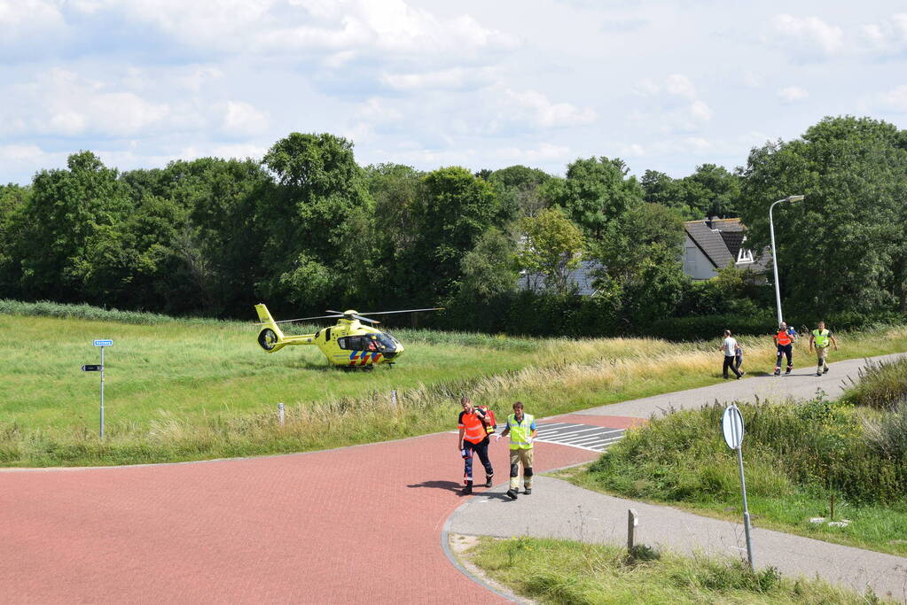 Duiker gereanimeerd na onwelwordig in Grevelingen