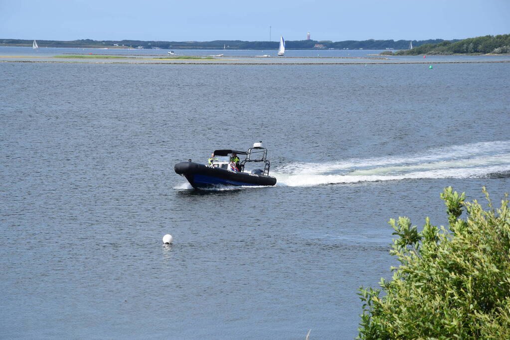 Duiker gereanimeerd na onwelwordig in Grevelingen