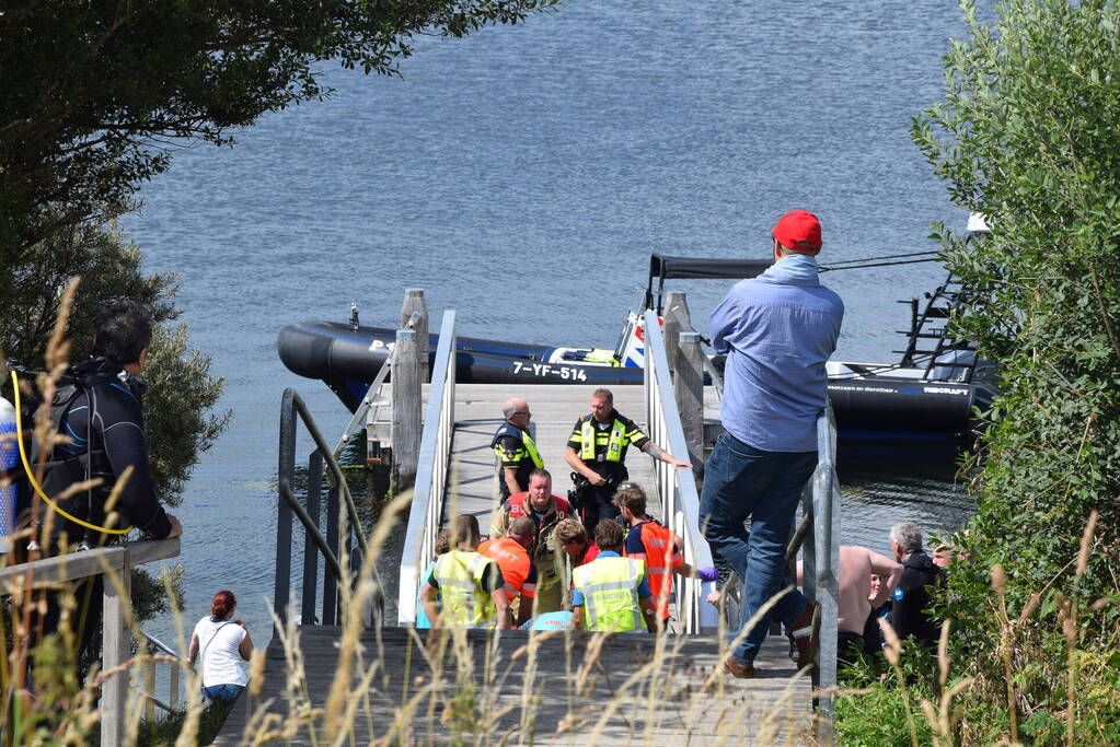 Duiker gereanimeerd na onwelwordig in Grevelingen