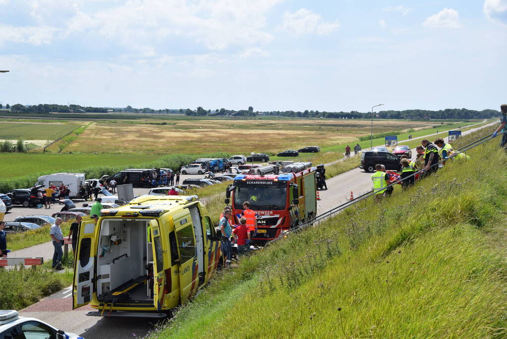 Duiker gereanimeerd na onwelwordig in Grevelingen