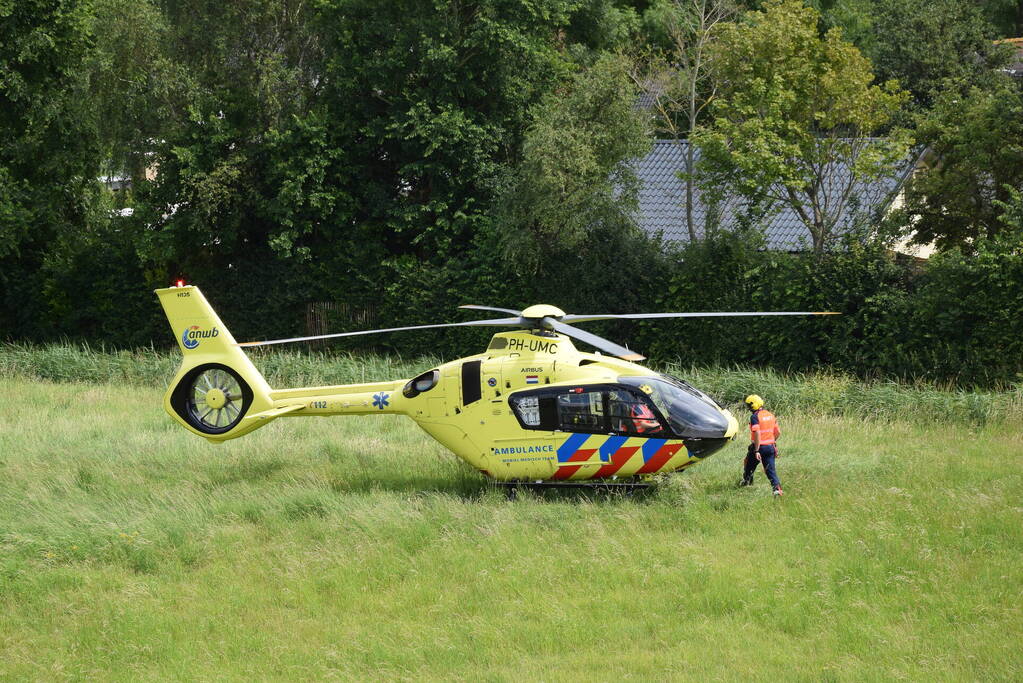 Duiker gereanimeerd na onwelwordig in Grevelingen