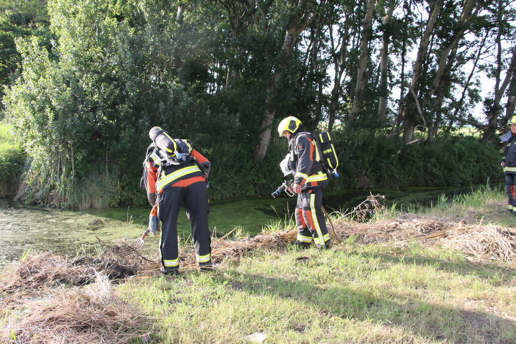 Gemaaid gras in brand