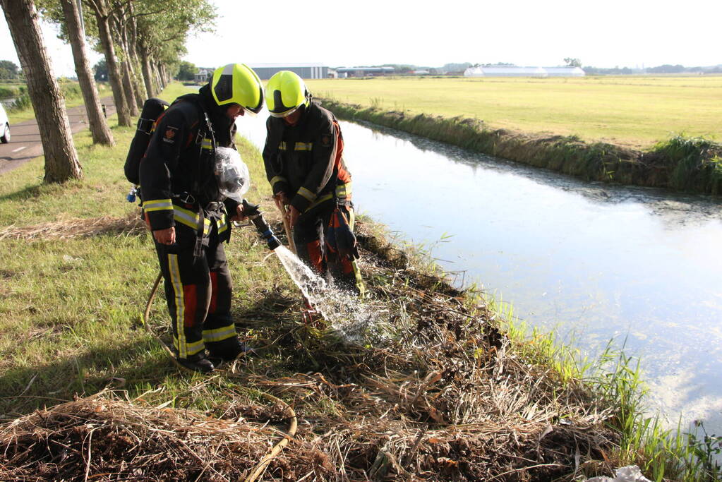 Gemaaid gras in brand