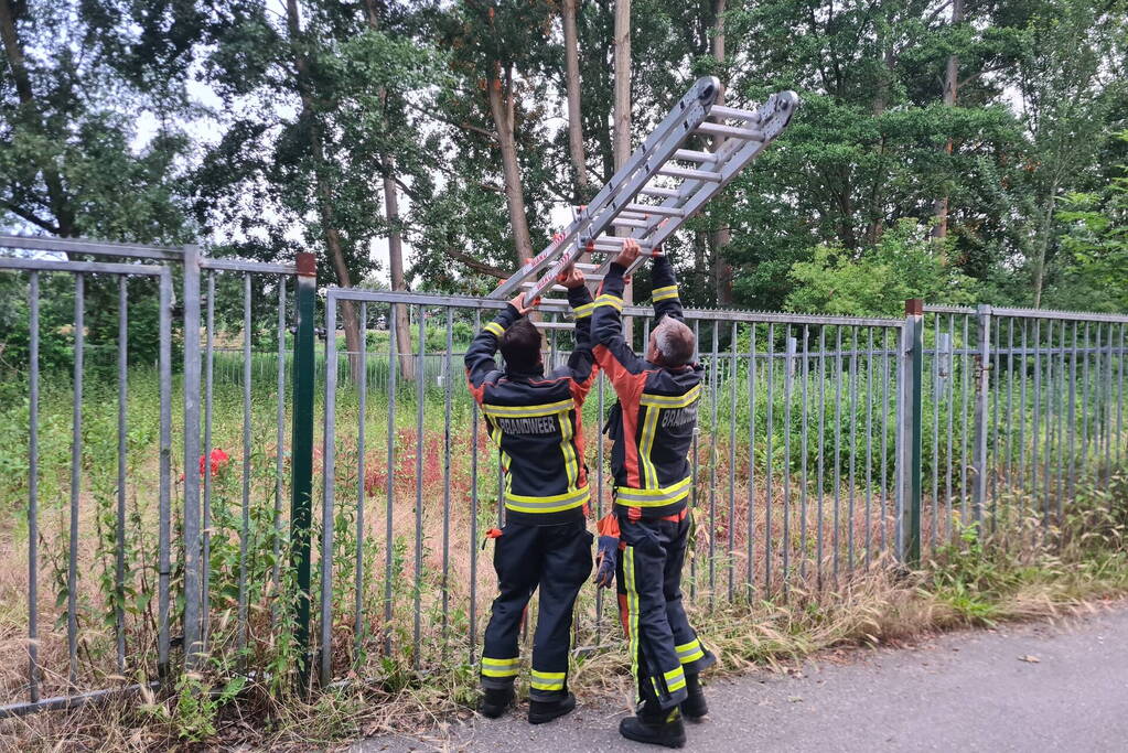 Sterke gaslucht in oud scouting gebouw