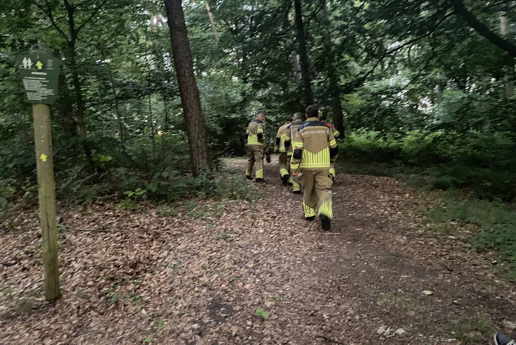 Kleine brand in bosgebied