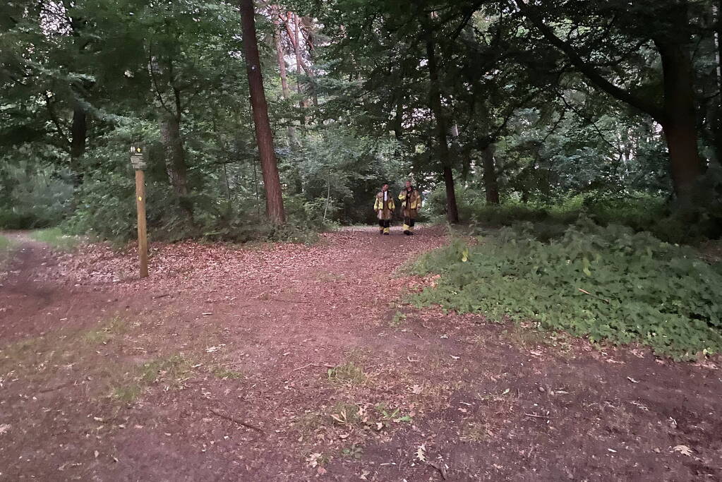 Kleine brand in bosgebied