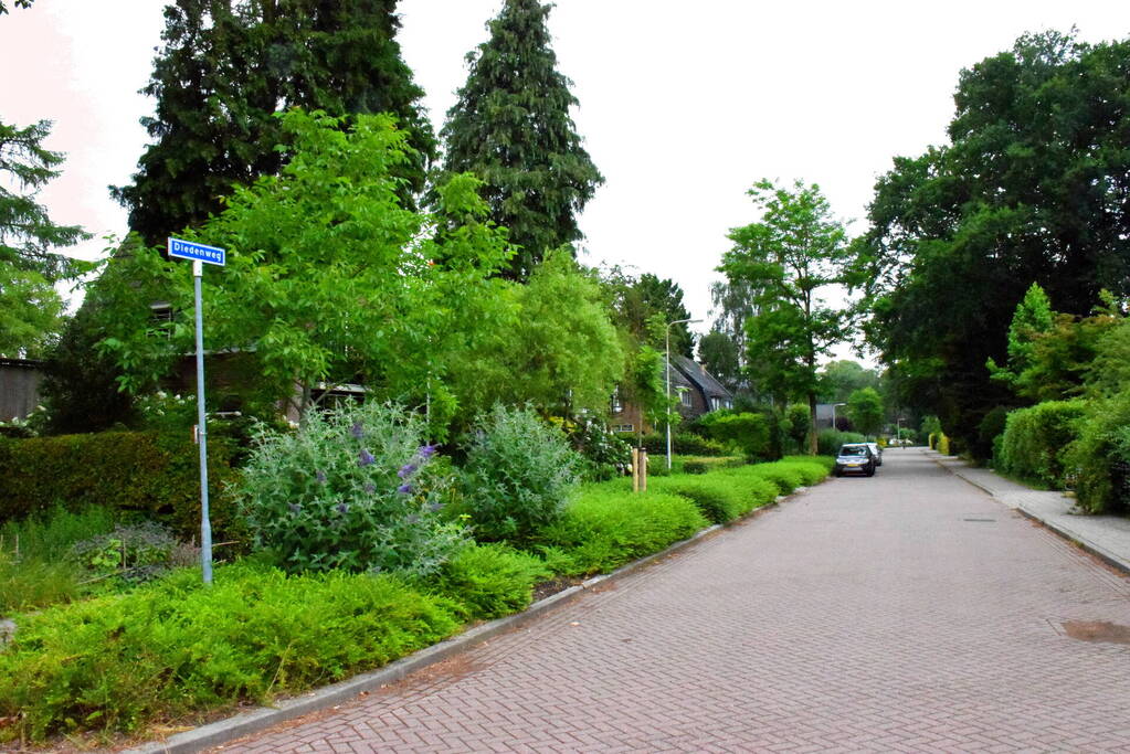 Politie lost waarschuwingsschoten bij aanhouding