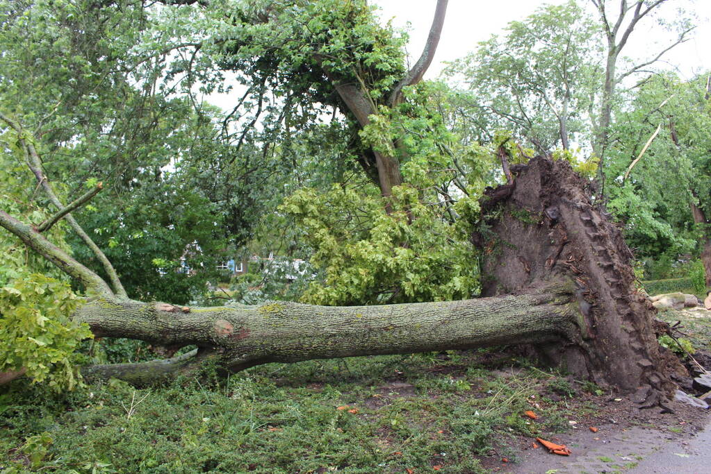 Windhoos richt grote schade aan, een dode