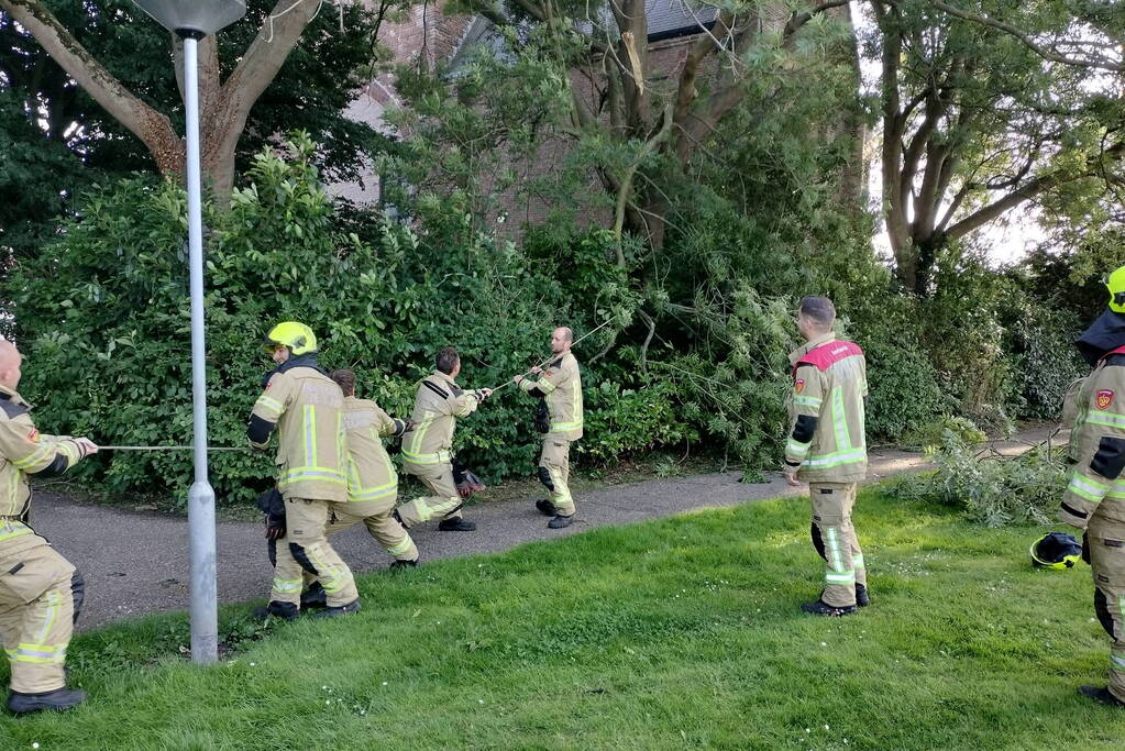 Brandweermannen verwijderen gevaarlijk hangende tak