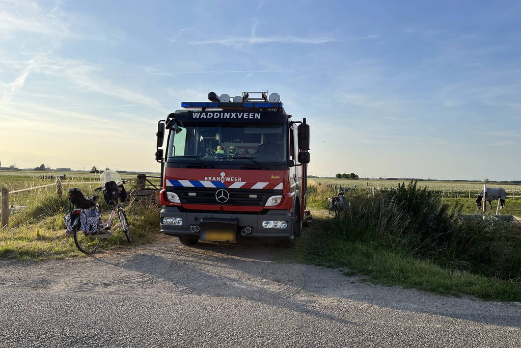 Paard uit sloot gehaald