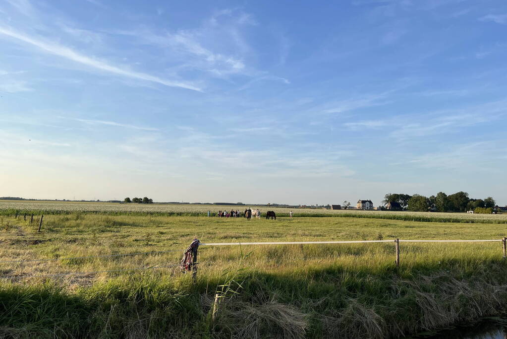 Paard uit sloot gehaald