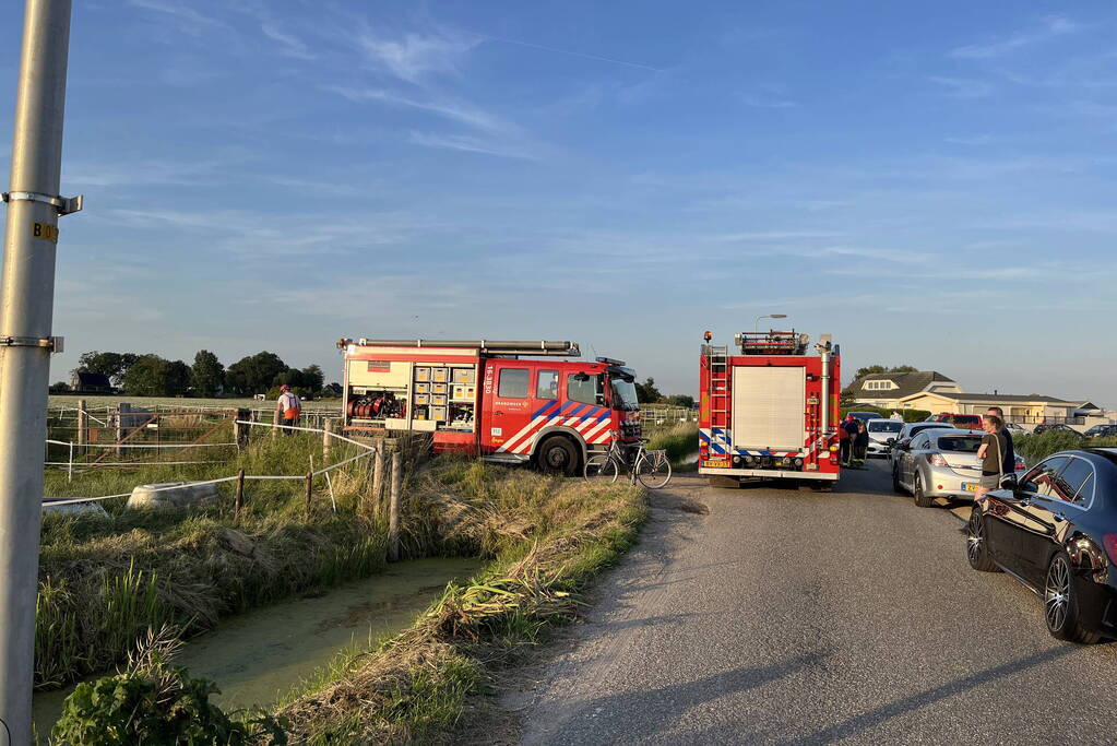 Paard uit sloot gehaald