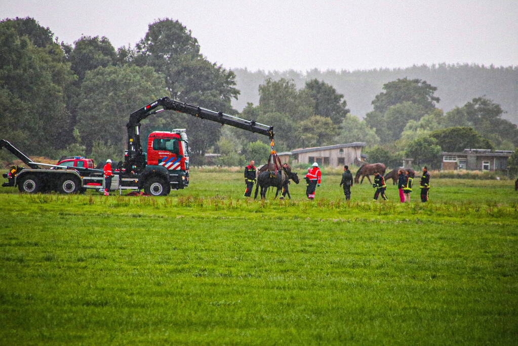 Paard met kraan uit sloot getakeld
