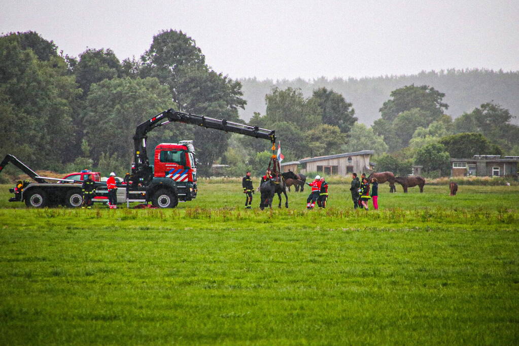 Paard met kraan uit sloot getakeld