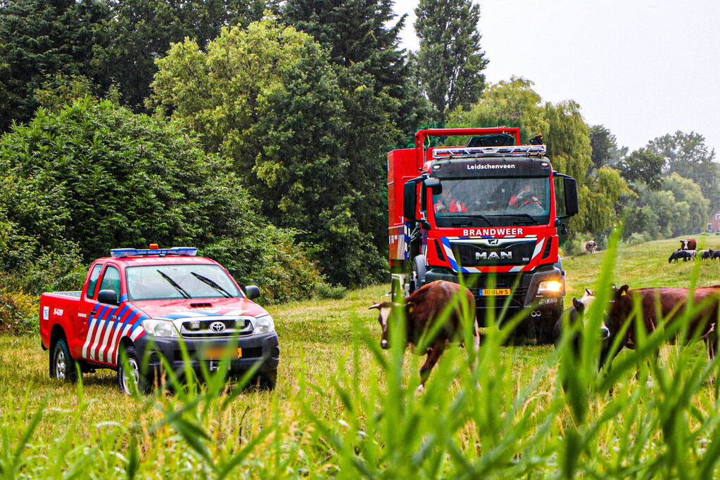 Paard met kraan uit sloot getakeld