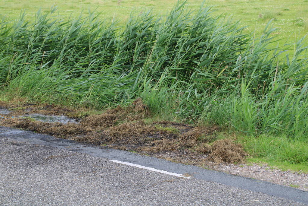 Brand in berm snel geblust