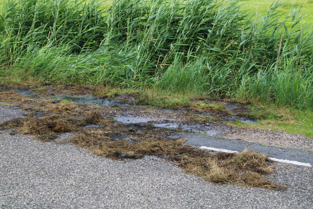 Brand in berm snel geblust