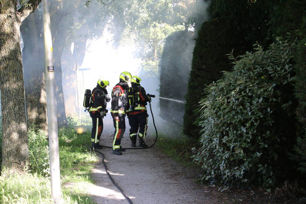 Coniferenhaag in brand door vuurwerk
