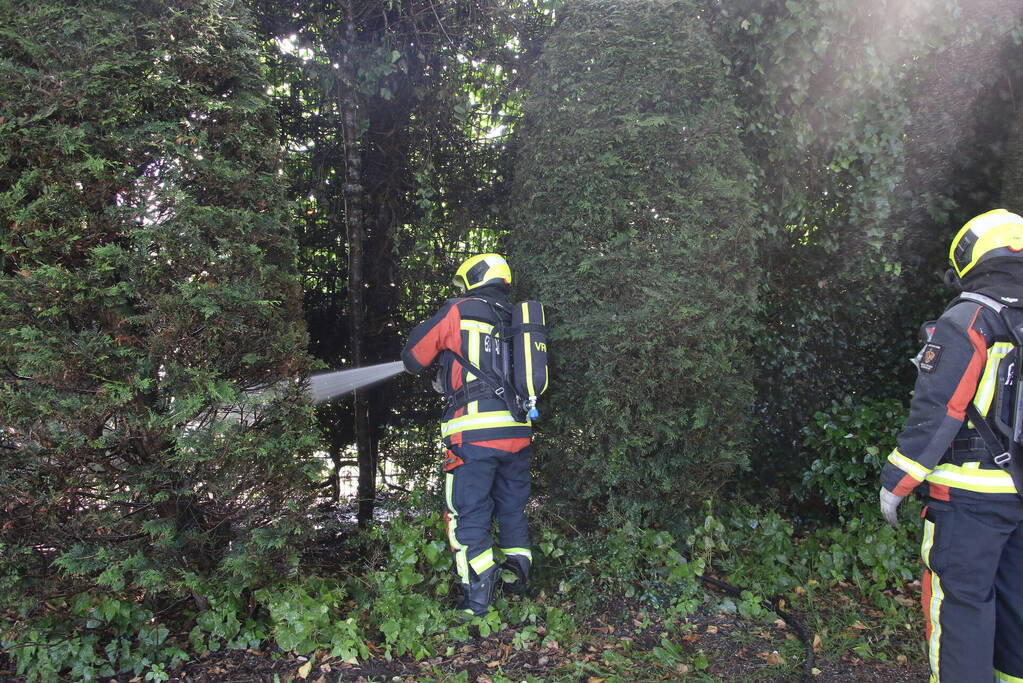 Coniferenhaag in brand door vuurwerk