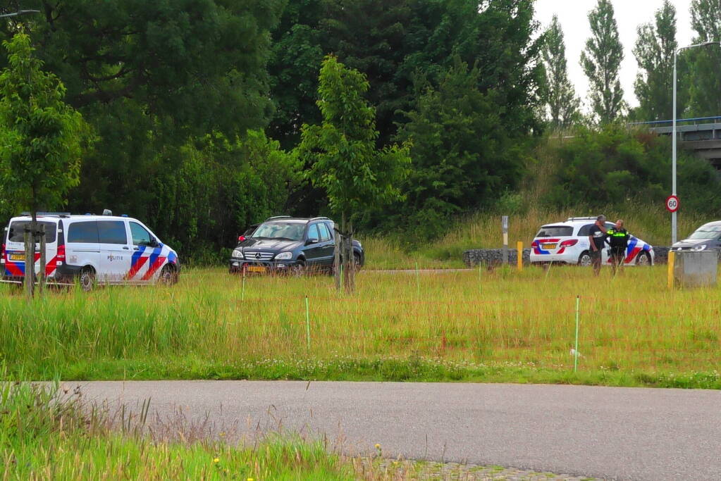 Kudde schapen langs de snelweg uitgebroken