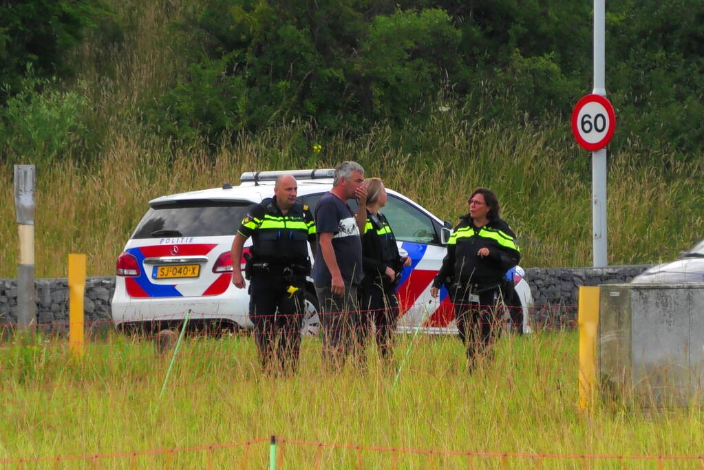 Kudde schapen langs de snelweg uitgebroken