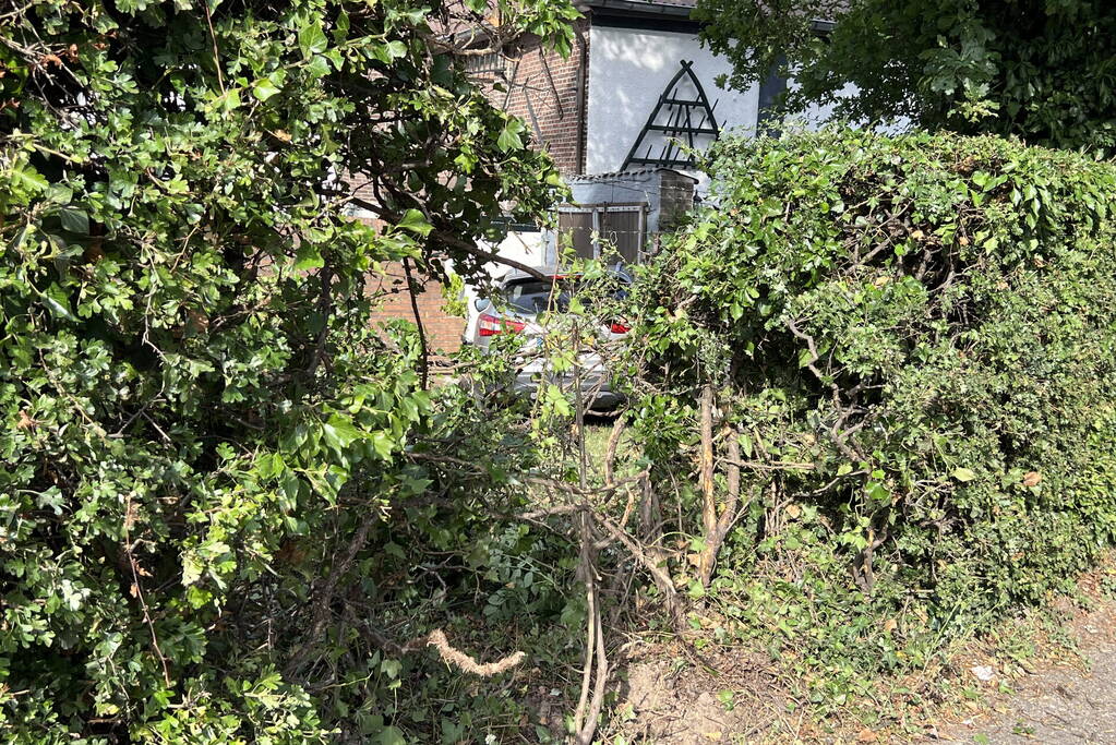 Auto schiet door tuin en ramt muur