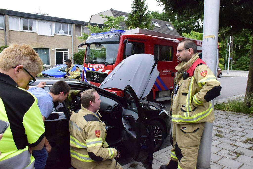 Jonge kat klimt in dashboard van auto
