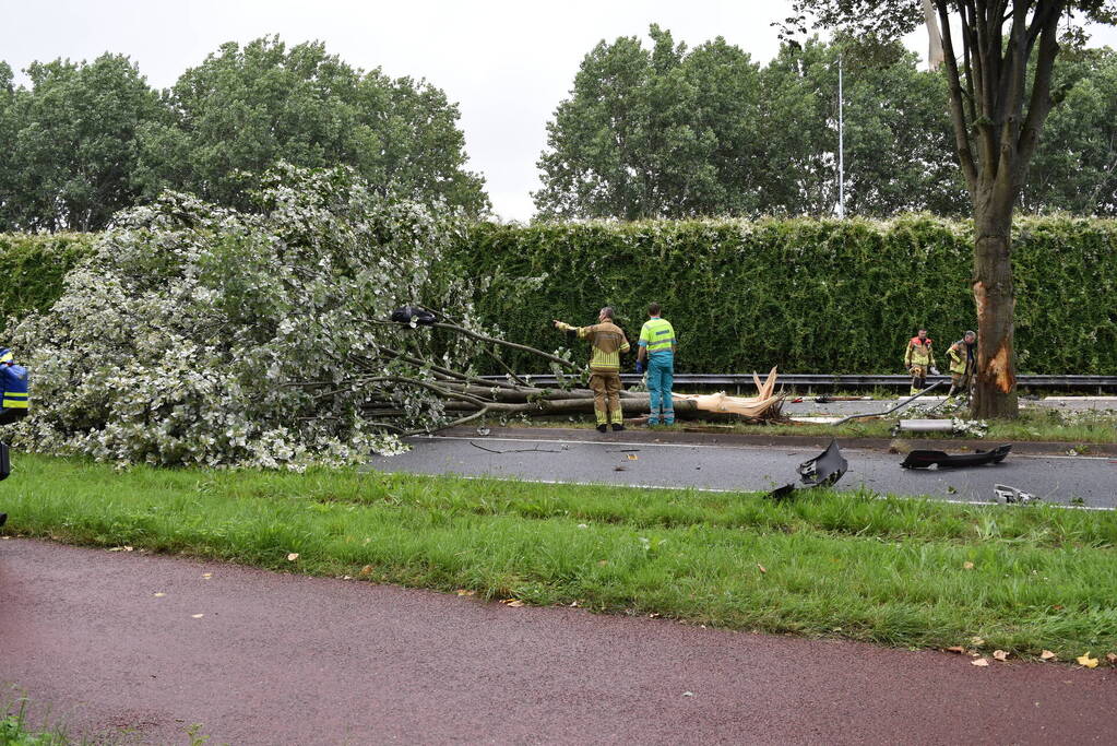 Automobilist overleden bij crash tegen boom