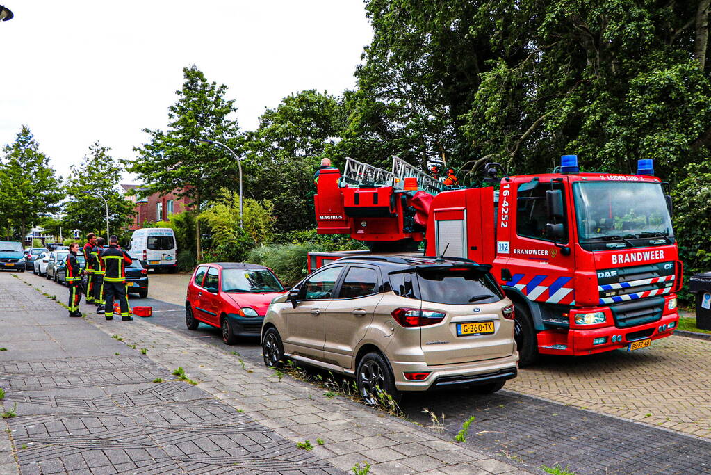 Grote tak van boom afgebroken over voetpad