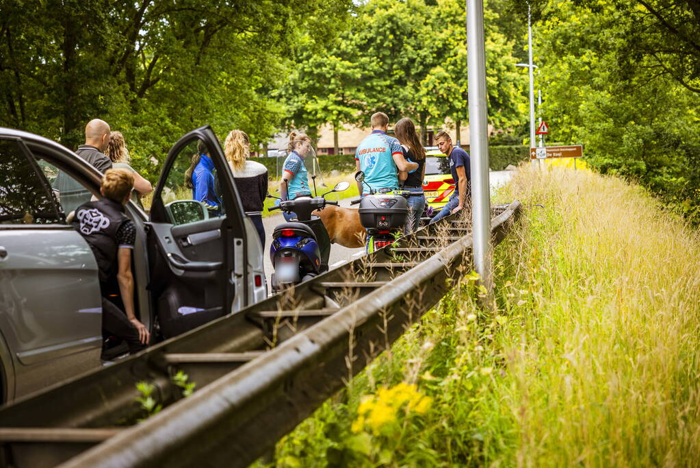 Jongedame gaat hard onderuit met Go Sharing-deelscooter