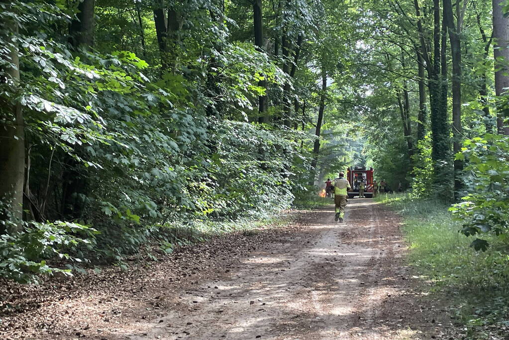 Brand midden is bosgebied