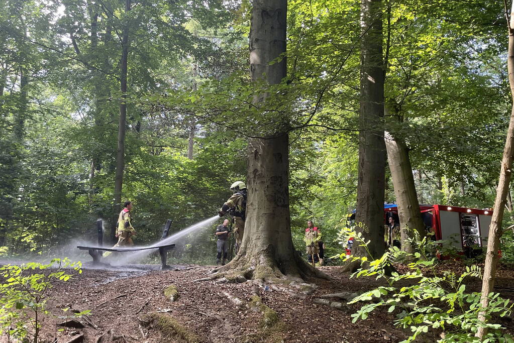 Brand midden is bosgebied